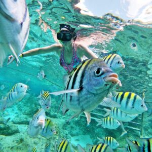 Chankanaab Park & Buggy Adventure Tour en Cozumel